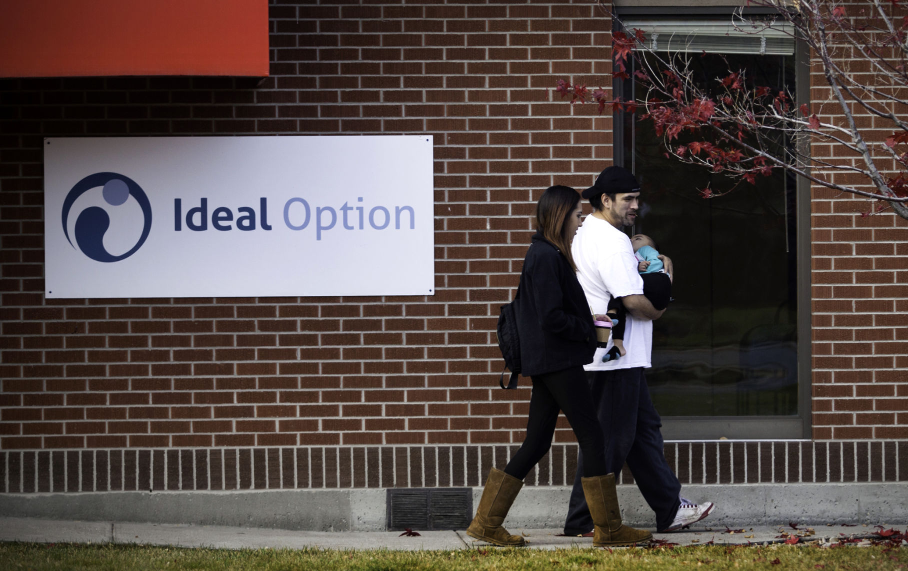 Untreated: Aripa at Ideal Option